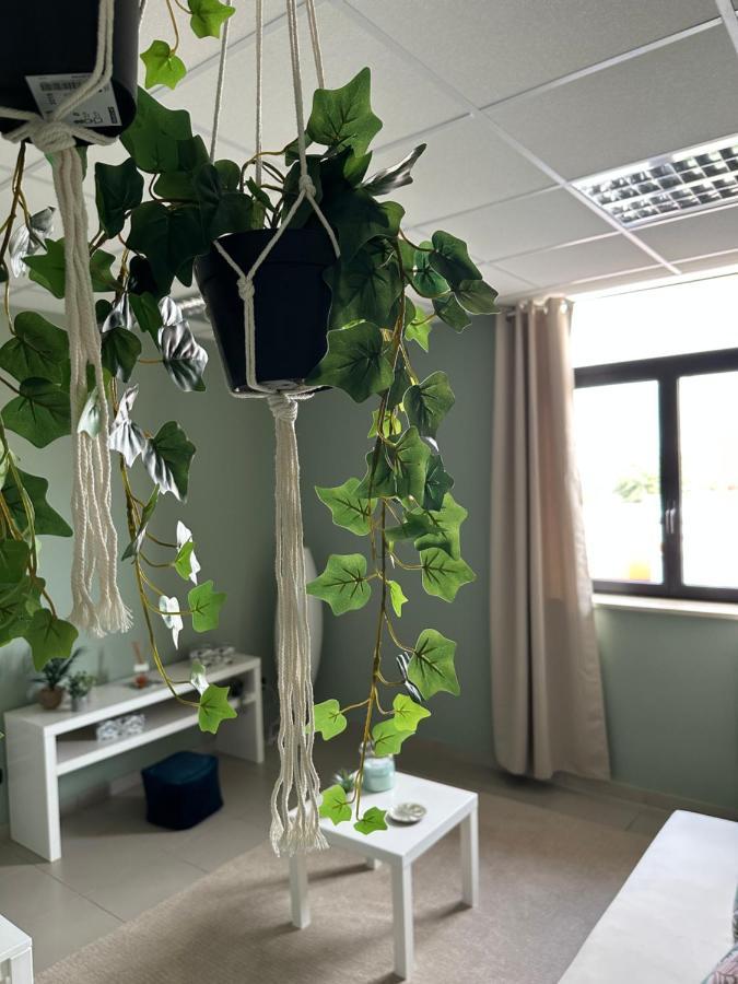בארי Botanical Suite מראה חיצוני תמונה